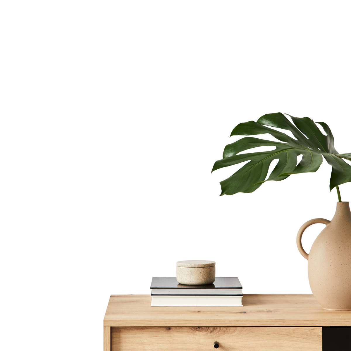 Transparent layer of a minimalist table with vase and plant